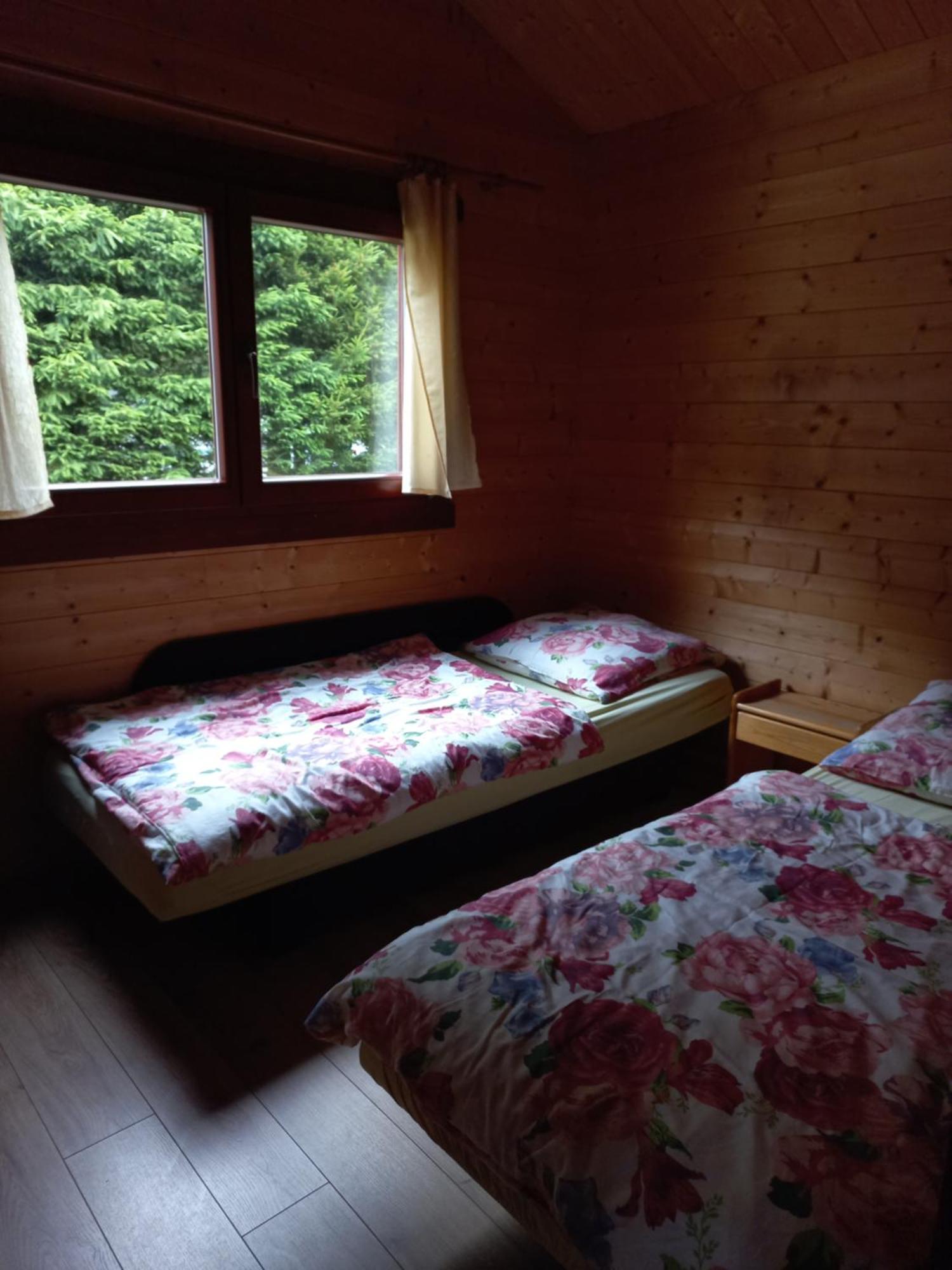 Villa Osrodek Wypoczynkowy Ada Niesulice Esterno foto